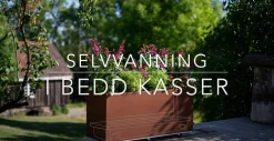 BEDD Indsats til selvvanding
