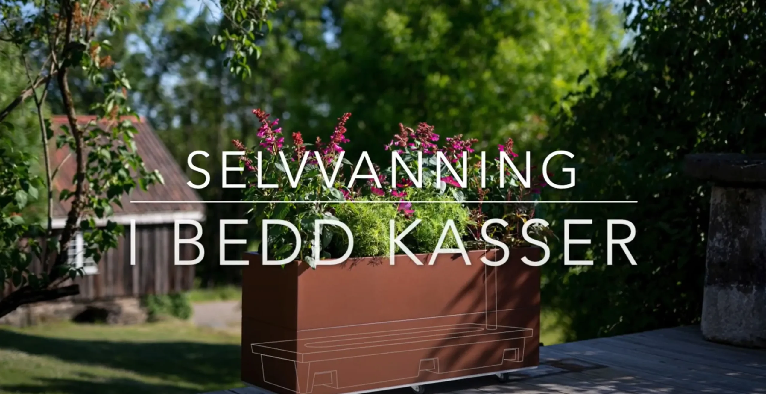 BEDD Indsats til selvvanding