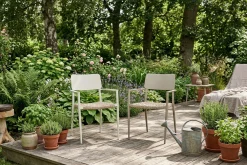 Botanic spisestol