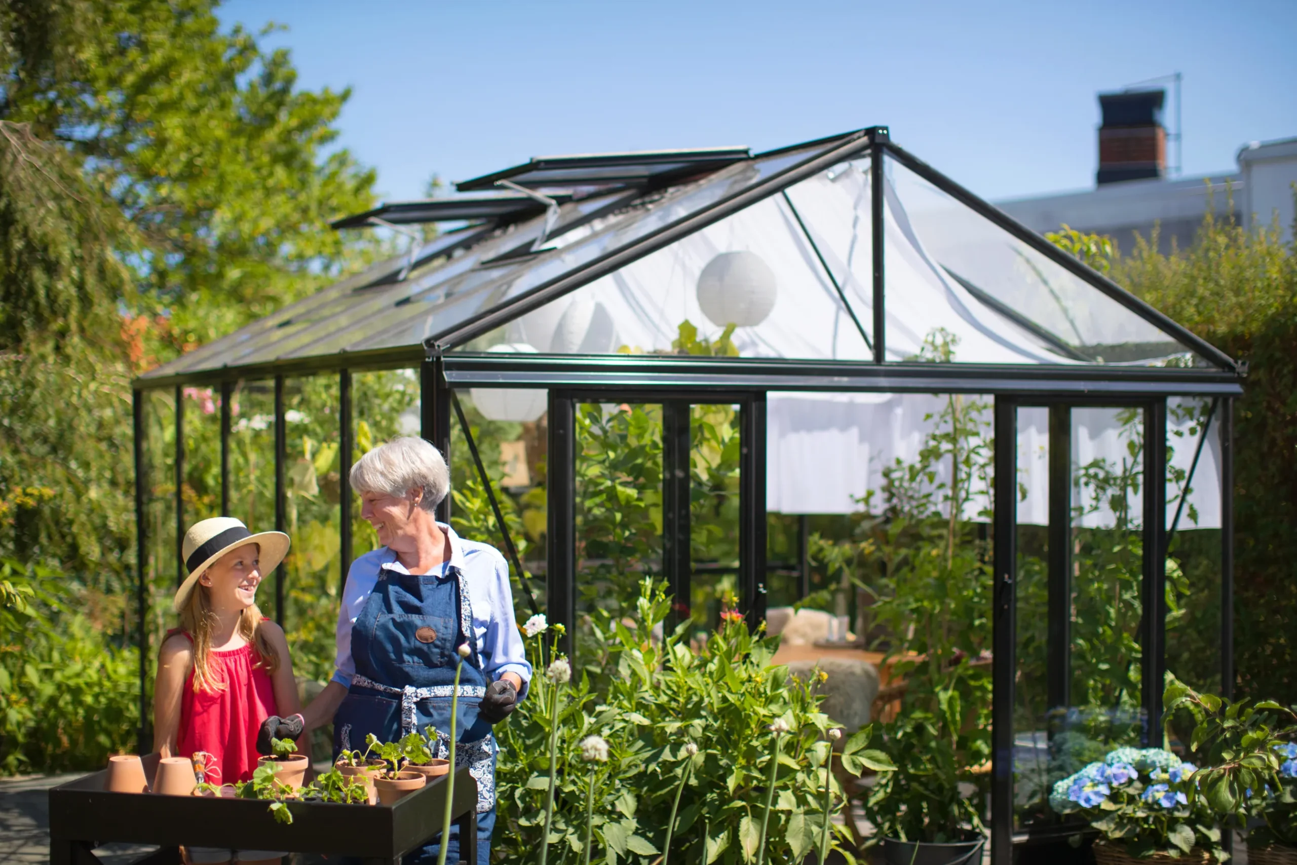 Maxi 4 drivhuspakke