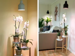 Plantearmatur til LED-pu00E6re