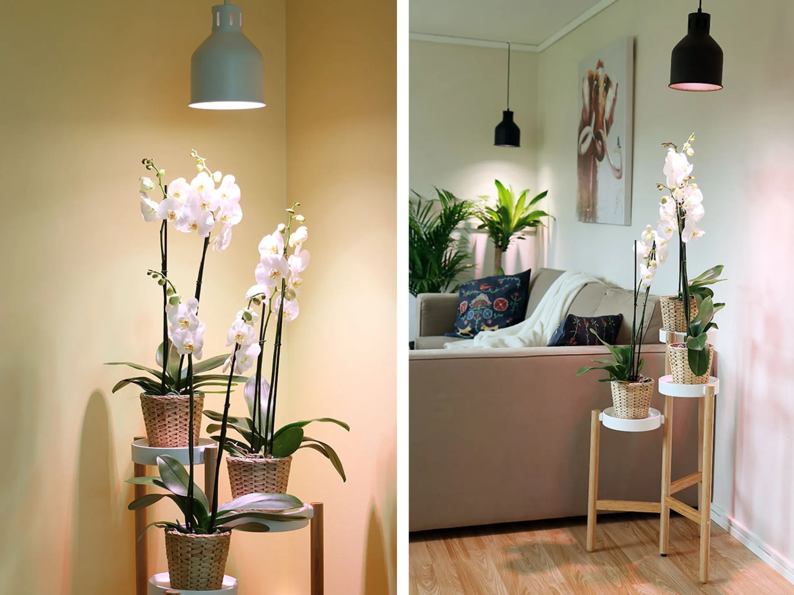 Plantearmatur til LED-pu00E6re