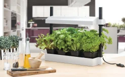Plantebelysning Micro