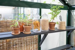 Plantehylde til Green Room-drivhuse