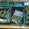 Plantning