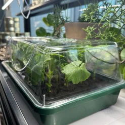 ROOT!T Minidrivhus komplet